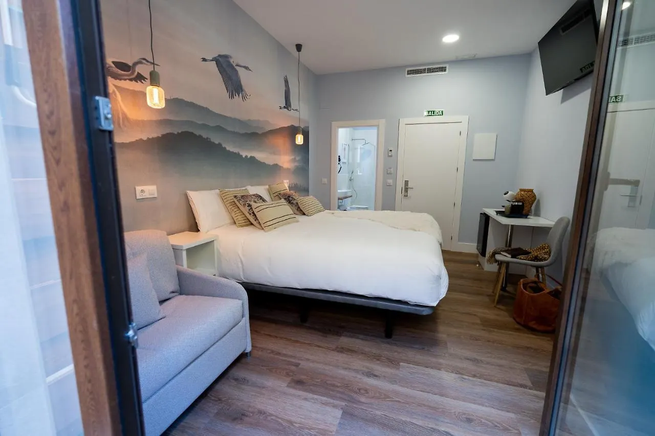 Center Suite Acebedos Santander Affittacamere