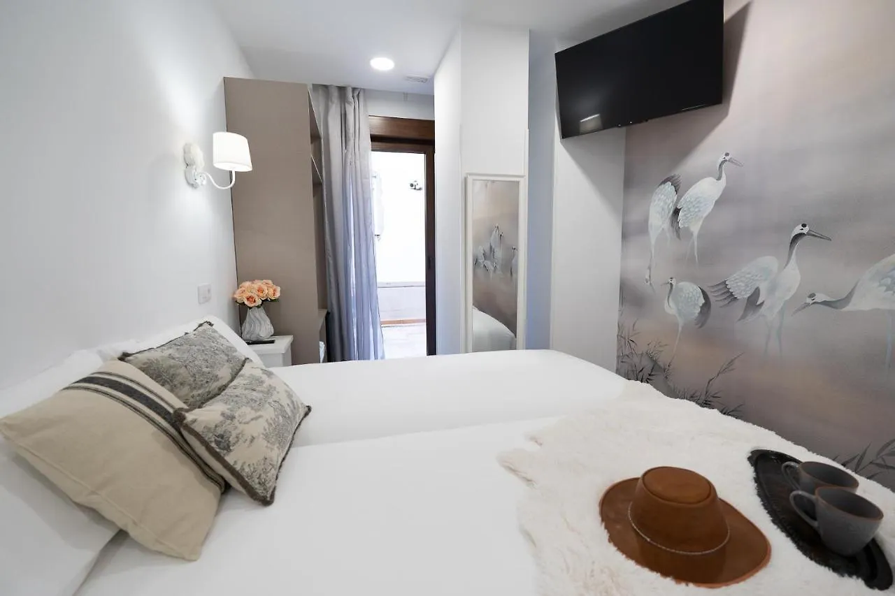 Center Suite Acebedos Santander